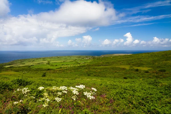 Kornwalijskie wybrzeże pomiędzy Lands End i St. Ives, Cornwall, Wielka Brytania Obraz Stockowy