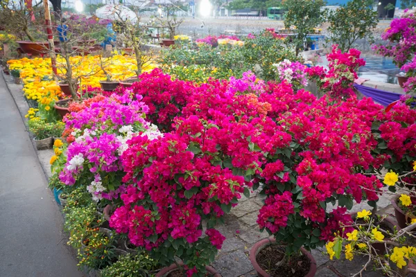 음력 새 해, 베트남 사이공 꽃 시장 스톡 사진