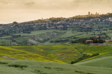 Toskana peyzaj etrafında pienza, val d'orcia, İtalya