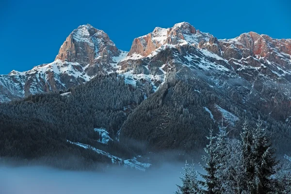 Gebergte "steinernes meer" in Alpen bij dageraad, Oostenrijk — Stockfoto