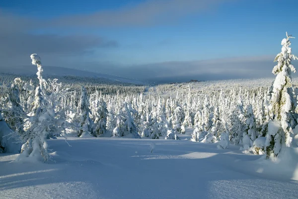 hill kış manzarası