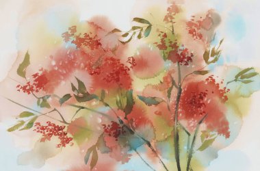 Böğürtlenli Rowan ağaç dalları suluboya arka plan