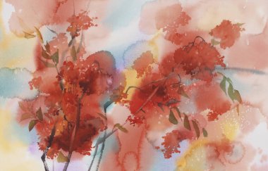 Böğürtlenli Rowan ağaç dalları suluboya arka plan