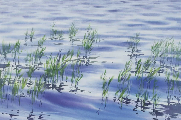 Vatten gräs med reflektioner i sjön akvarell bakgrund — Stockfoto