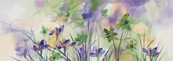 Violet and green spring flowers watercolor background
