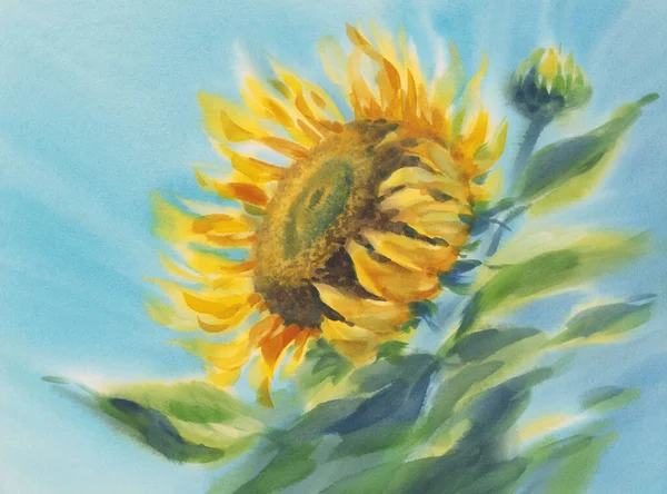 A sunflower closeup in the blue sky watercolor background Stock Photo