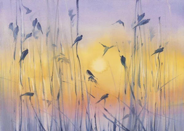 Small birds on the grass watercolor background