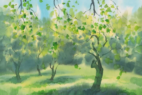 Groene appelboom tuin in het voorjaar aquarel achtergrond — Stockfoto