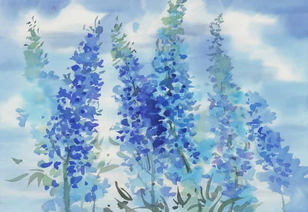 Μπλε Καλοκαιρινά Λουλούδια Και Σύννεφα Φόντο Ακουαρέλα Χειροποίητη Απεικόνιση — Φωτογραφία Αρχείου