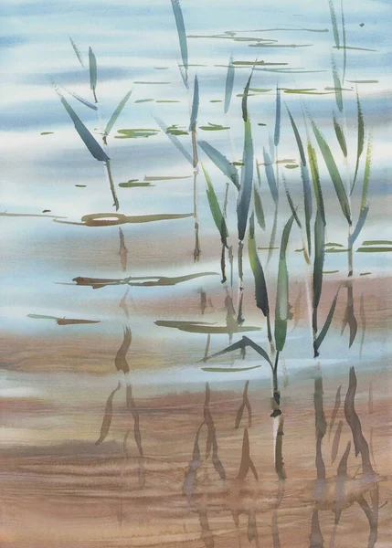 Vatten Gräs Med Reflektioner Sjön Akvarell Bakgrund Sommarlandskap — Stockfoto