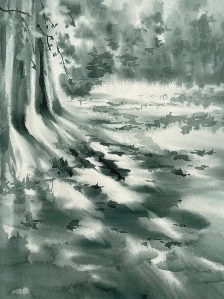 Orman yolu güneş ışığı gölgesi suluboya arka plan. Bir renk yaz illüstrasyonu