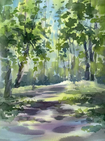 Forest Path Sunlight Shadow Watercolor Background Green Summer Illustration Fotos de stock libres de derechos