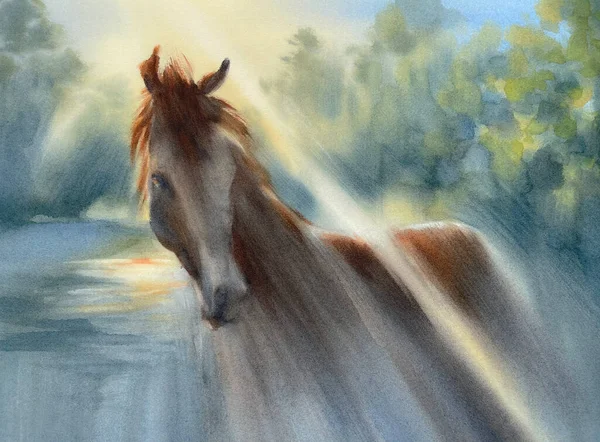 Beautiful young horse in the summer morning landscape. Watercolor illustration