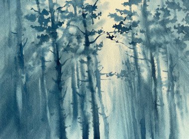 Sis rengi arka planda çam ağacı ormanı. Bir renk sonbahar illüstrasyonu