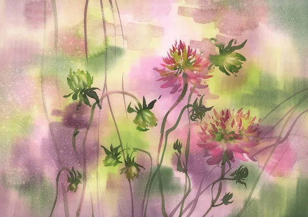 Flores Dahlia Rosa Pintura Aquarela Fundo Cor Ilustração Outono — Fotografia de Stock