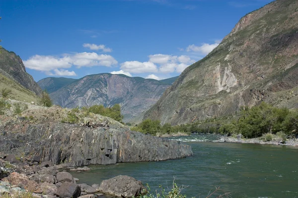 Peisaj montan. Râul de munte. Muntele Altai . — Fotografie, imagine de stoc