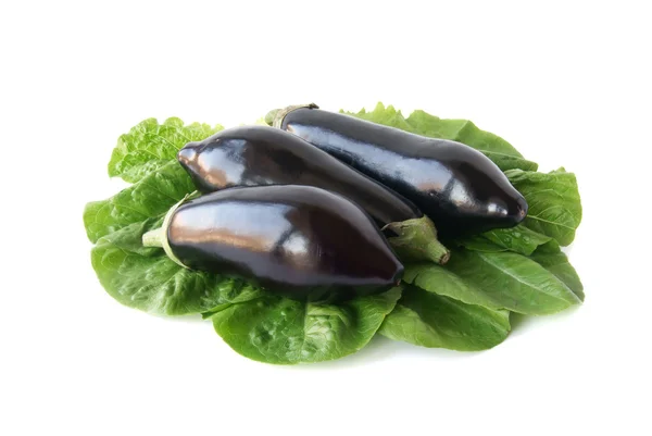 Aubergine on lettuce leaves — Stock Photo, Image