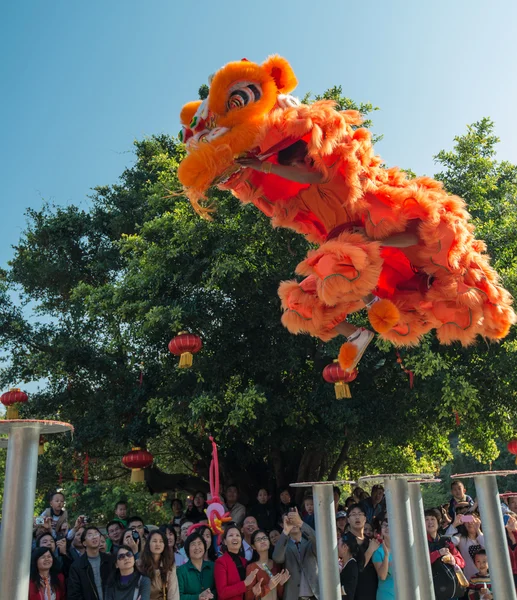 Lion dance — Stock Photo, Image