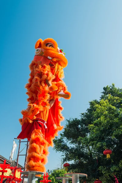 Lion dance — Stock Photo, Image