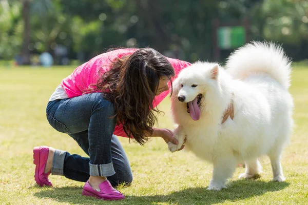 Schud de hand hond. Rechtenvrije Stockfoto's