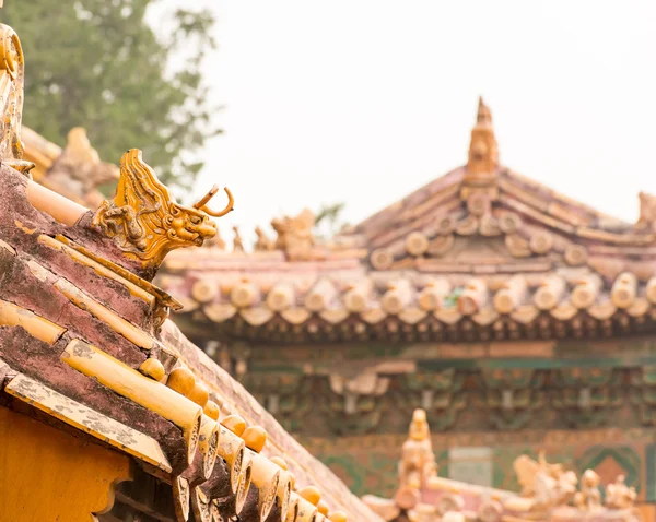 Woods Dragon in the Forbidden City — Stock Photo, Image