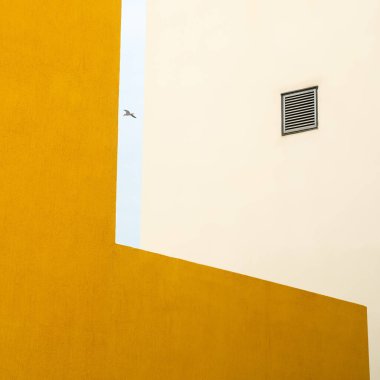 Özgürlük kavramı. Soyut binaların üzerinde uçan küçük bir kuş..