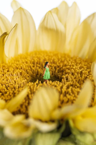 Concept Woman Standing Flowers — Stock Photo, Image