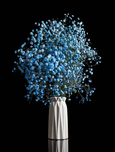 Siyah arka planda vazoda bebek nefesi çiçekleri