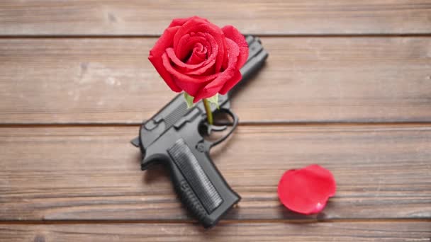 Пелюстки Червоної Троянди Падають Пістолет — стокове відео