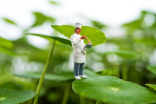Chef Miniature Faire Nourriture Dans Monde Vert Concept Aliments Sains — Photo