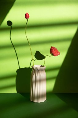 Yeşil arka planda kırmızı gelincikler ve gölgeler