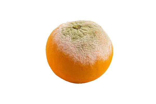 Гнилой Оранжевый Изолирован Белом Фоне — стоковое фото