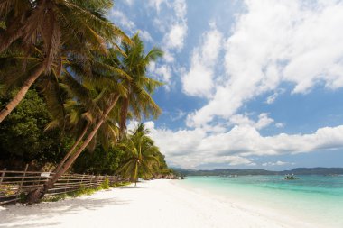 tropikal beyaz kum plaj
