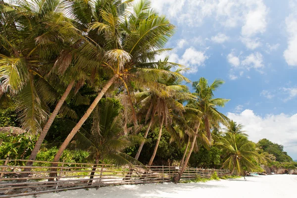 Tropikal beyaz kum plaj — Stok fotoğraf