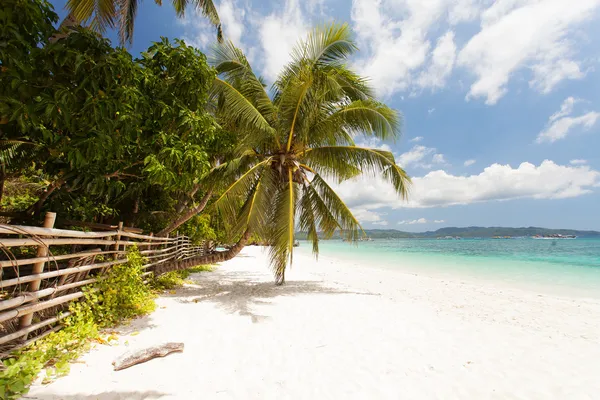 Tropical vit sandstrand — Stockfoto