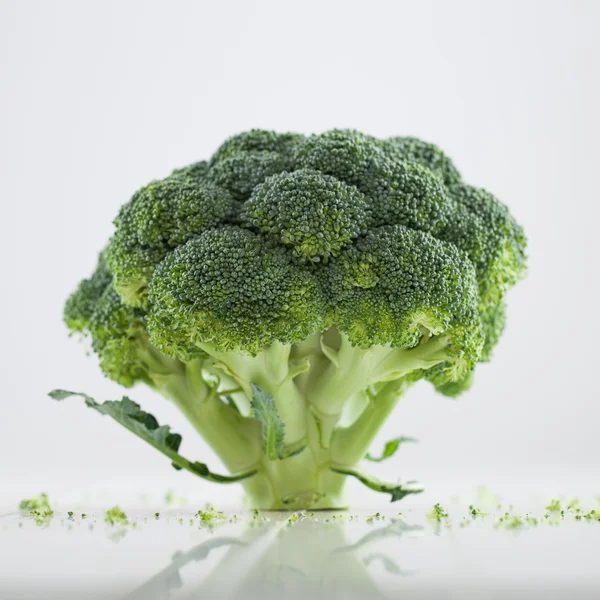 Verse broccoli — Stockfoto