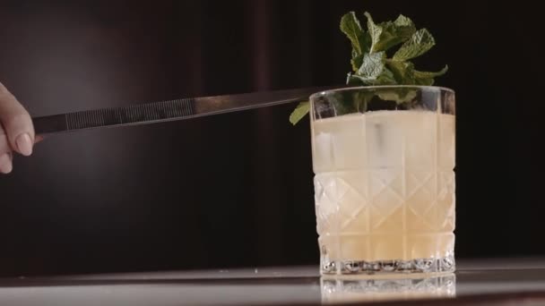 Bartender prepares an alcoholic cocktail — Stock Video