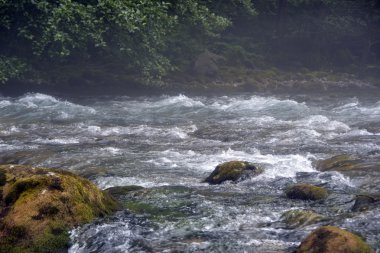 Dağ nehri