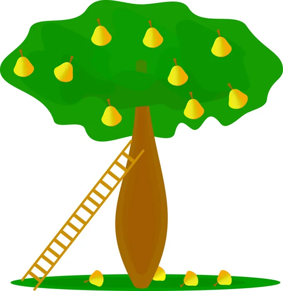Árbol con peras — Vector de stock