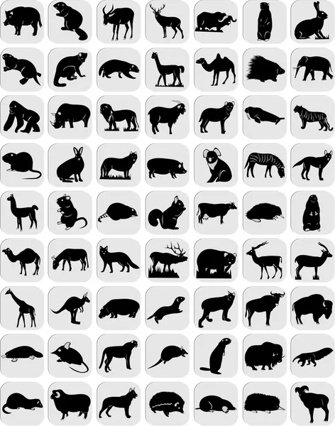 Iconos de animales — Archivo Imágenes Vectoriales