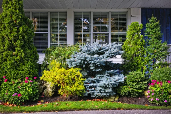 Garden in front of house — Stock Image Garden in front of house Stock Photo