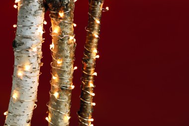 Huş ağacı dalları üzerinde Noel ışıkları