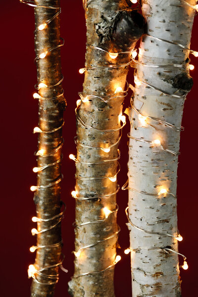 Christmas lights on birch branches