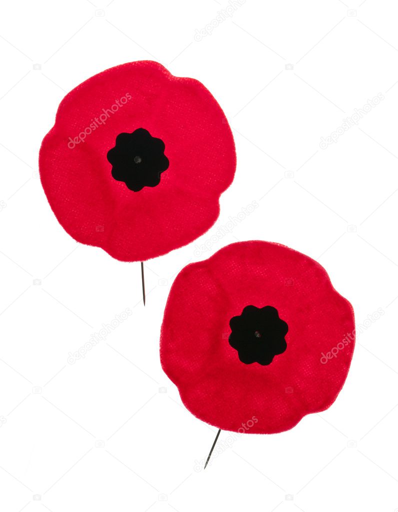 Remembrance Day poppies