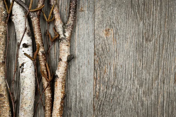 Birch ramos fundo — Fotografia de Stock