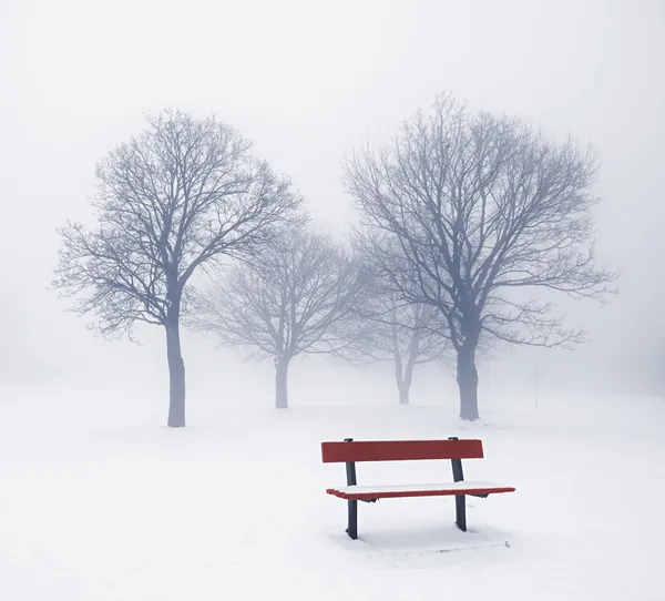 Árvores de inverno e banco no nevoeiro — Fotografia de Stock