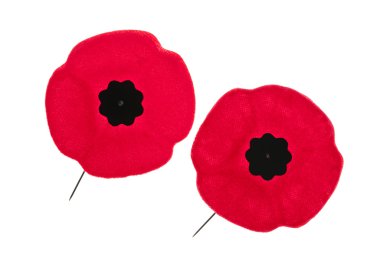 Remembrance Day poppies clipart