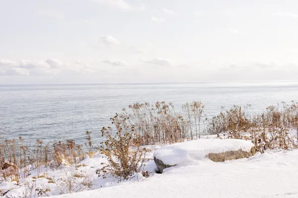 Vintern stranden av lake ontario — Stockfoto