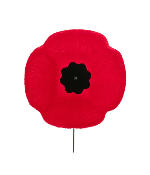 Remembrance Day poppy — Stock Photo, Image