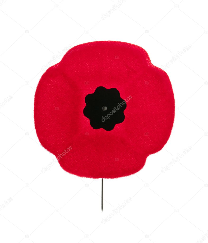 Remembrance Day poppy